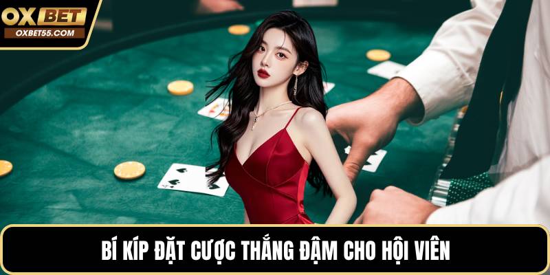 Bí kíp đặt cược thắng đậm cho hội viên