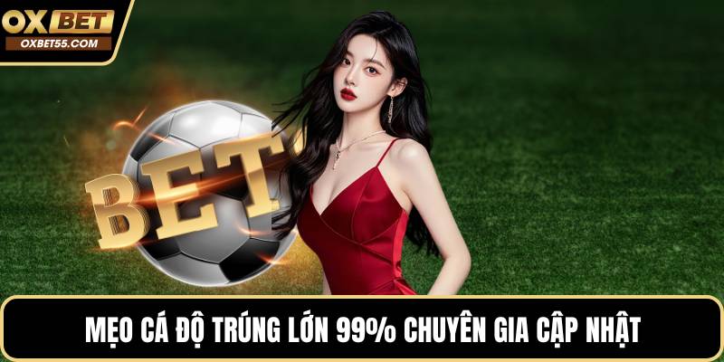 Mẹo cá độ trúng lớn 99% chuyên gia cập nhật